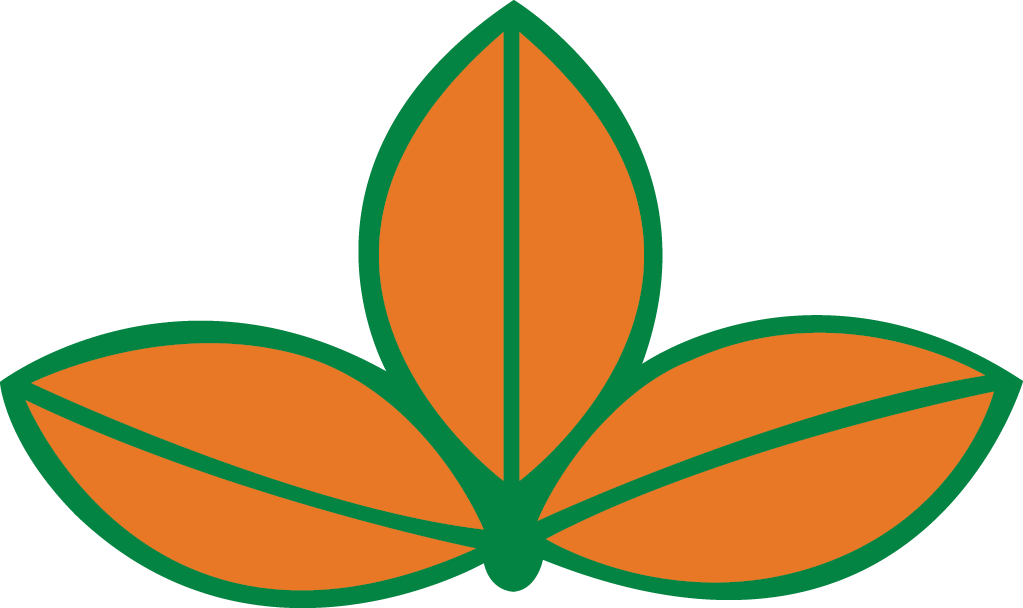 ORANGE_ GREEN-3